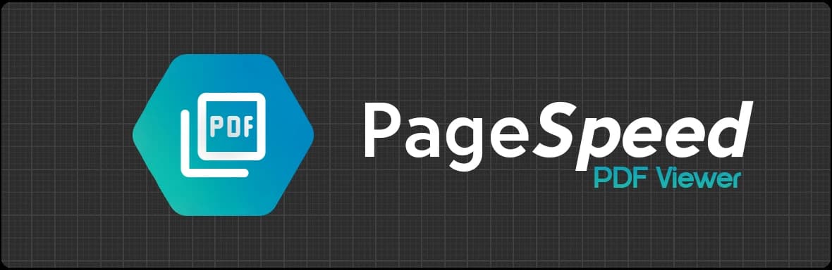 Page Speed PDF Viewer